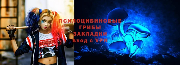 МДПВ Алексеевка