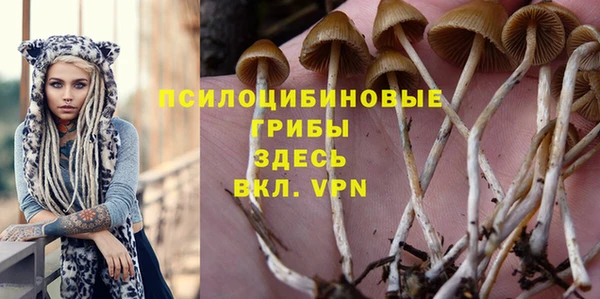 МДПВ Алексеевка