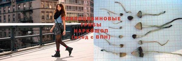 хмурый Алзамай
