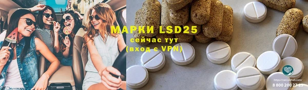хмурый Алзамай