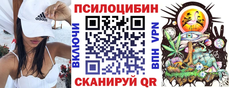 Галлюциногенные грибы Cubensis  закладка  Нытва 